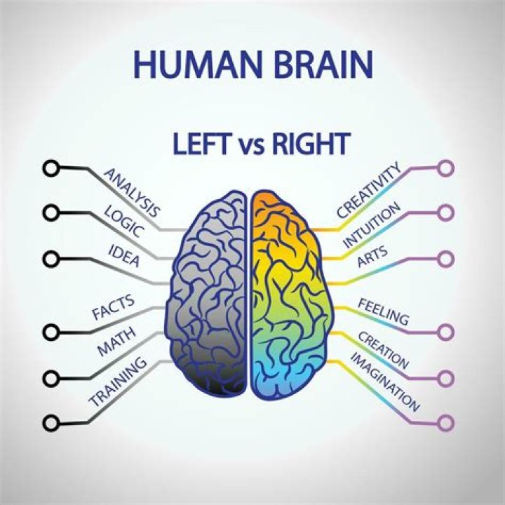 Are ADHD people left or right brain?