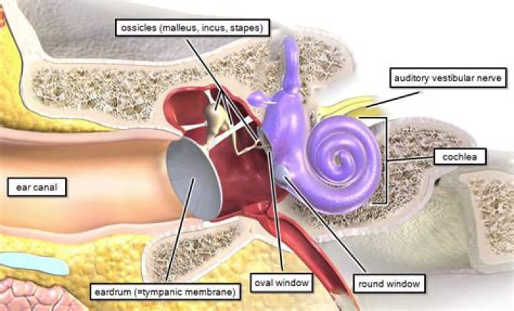 Are there any earplugs that block all noise?
