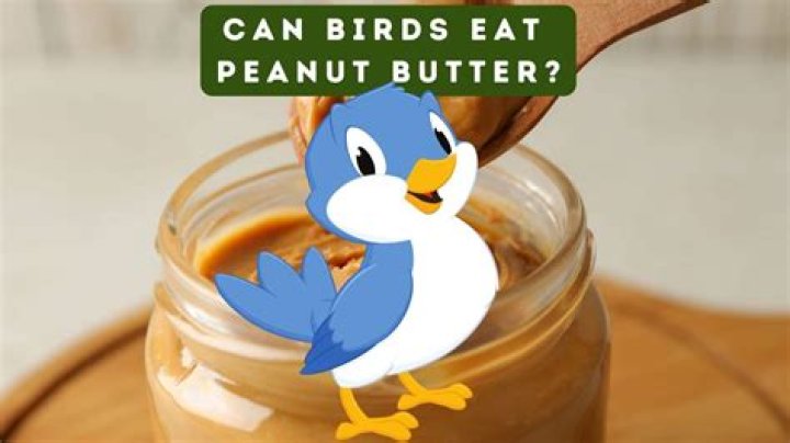 Can birds eat soy butter?
