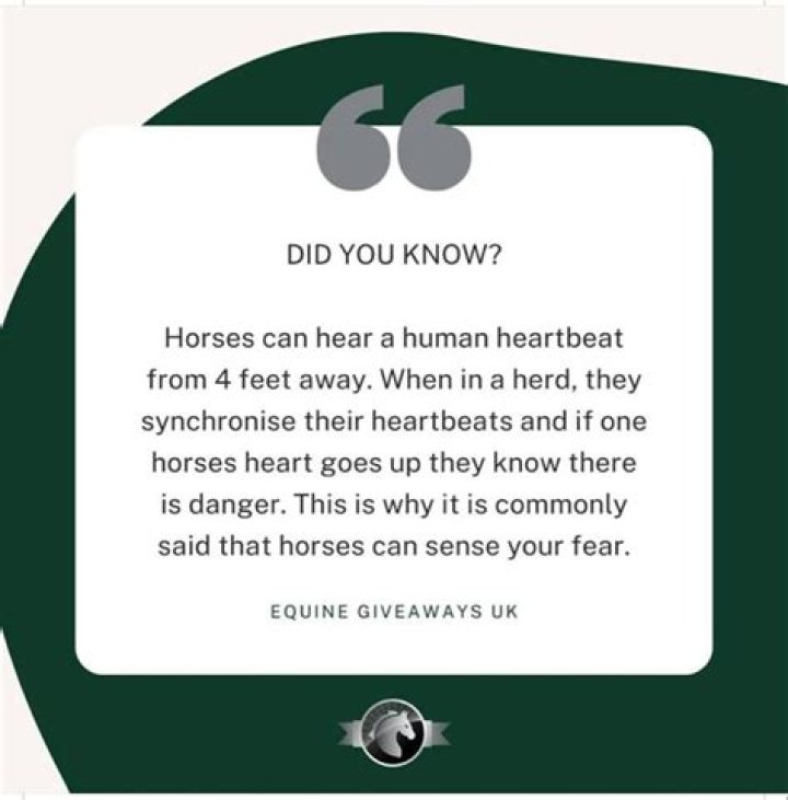 Can horses hear human heartbeats?
