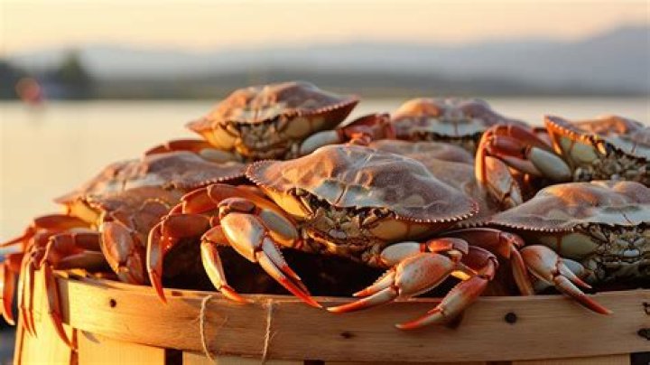 Can I get crabs from a BJ?