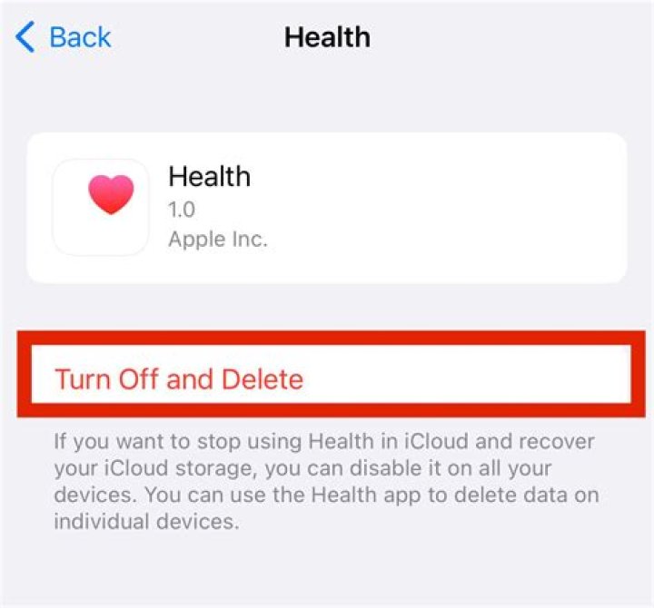 Can you delete preinstalled apps on iPhone?