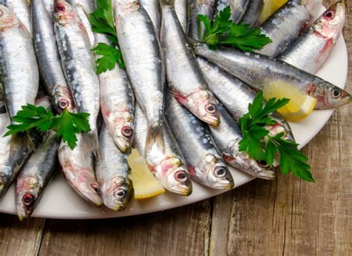 Can you eat too many sardines?