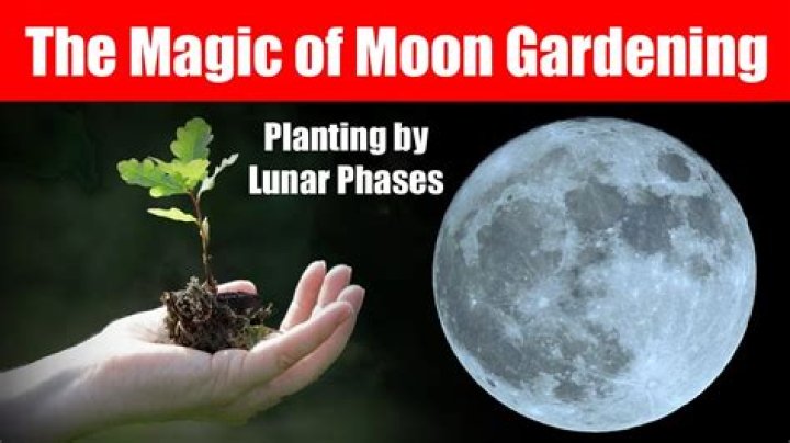 Can you grow plants on the Moon?