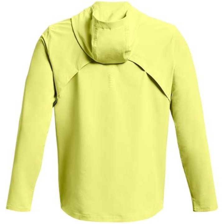 Can you outrun a yellow jacket?