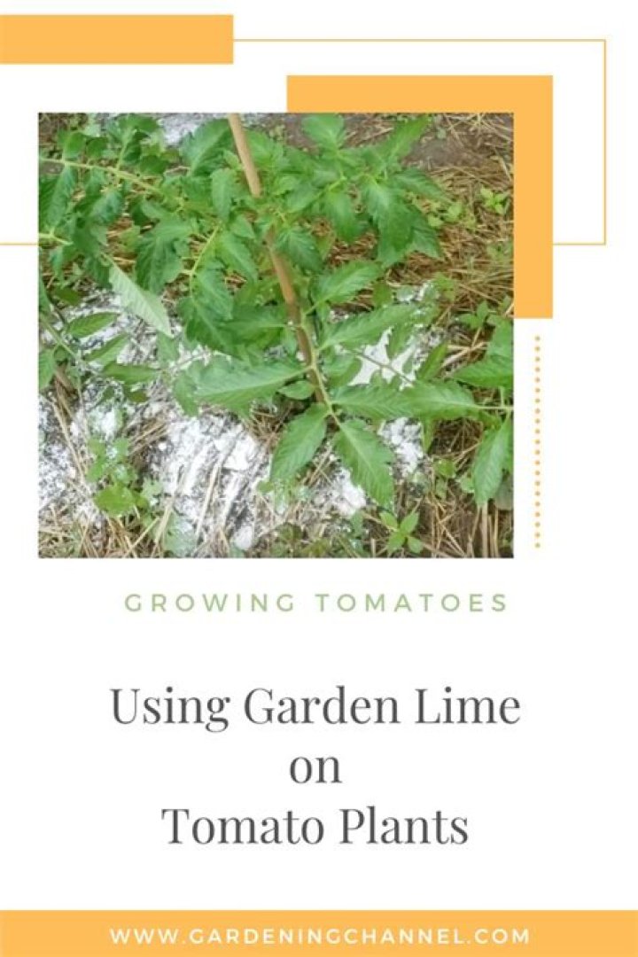 Can you put too much lime in your garden?