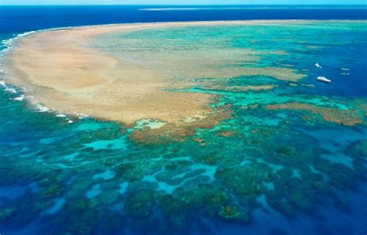 Can you swim in Great Barrier Reef in March?