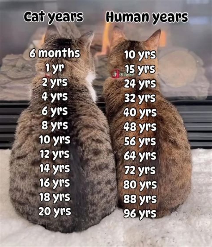 Can you tell age by urine?