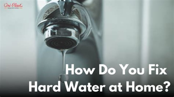 Do dogs fear red water?