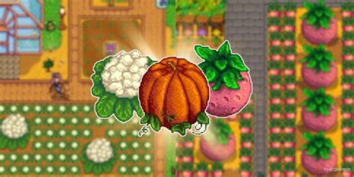 Do giant crops stay in winter?