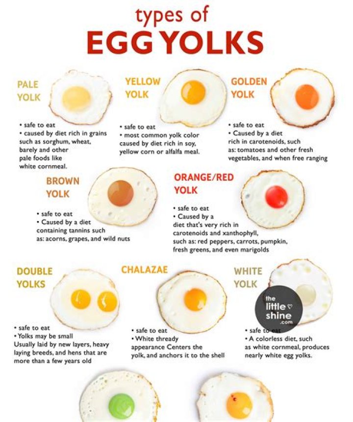 Do jumbo eggs have double yolks?