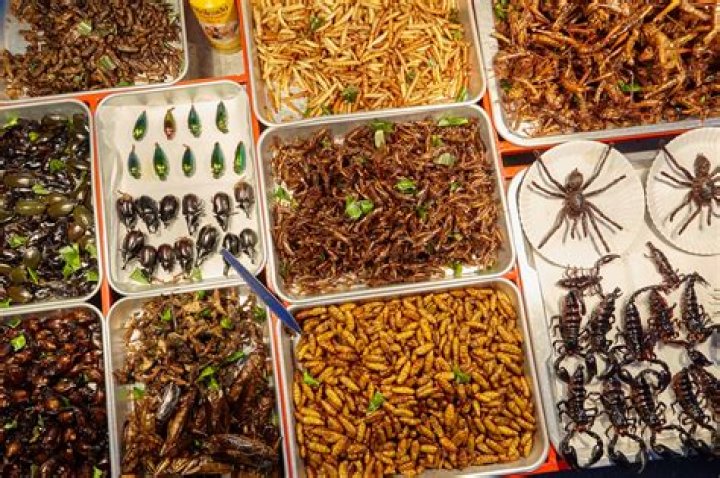 Do Vietnamese eat insects?