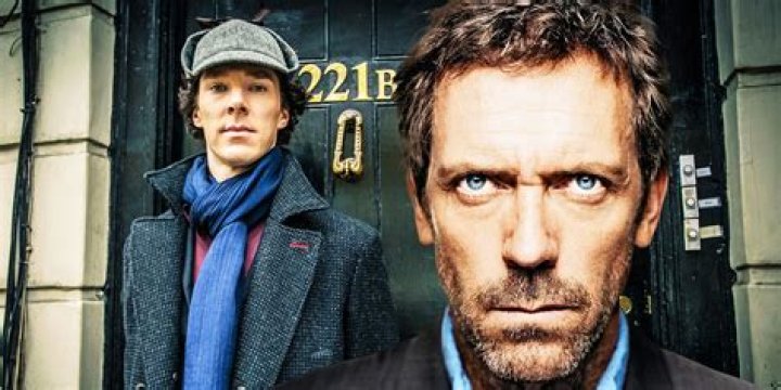 Does Sherlock end up with Janine?