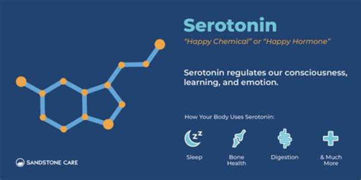 Does tramadol use serotonin?