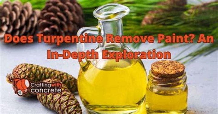 Does turpentine remove paint?