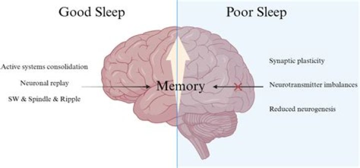 Does Vyvanse affect memory?
