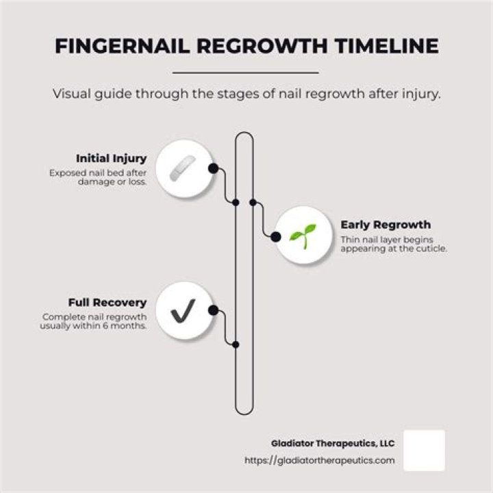 How can I make my fingernail grow back?