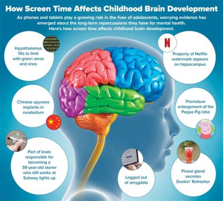 How can screen time affect your brain development?