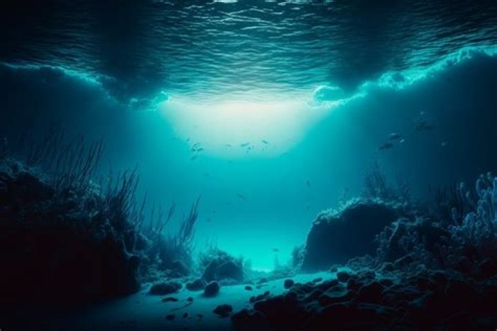 How cold is bottom of ocean?