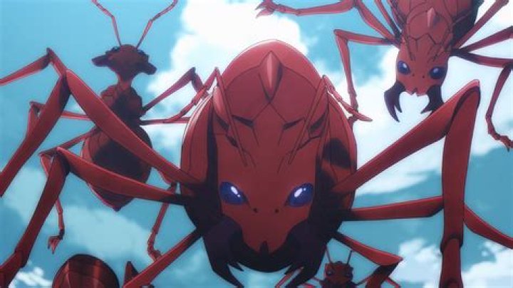 How did Fringilla get so powerful?