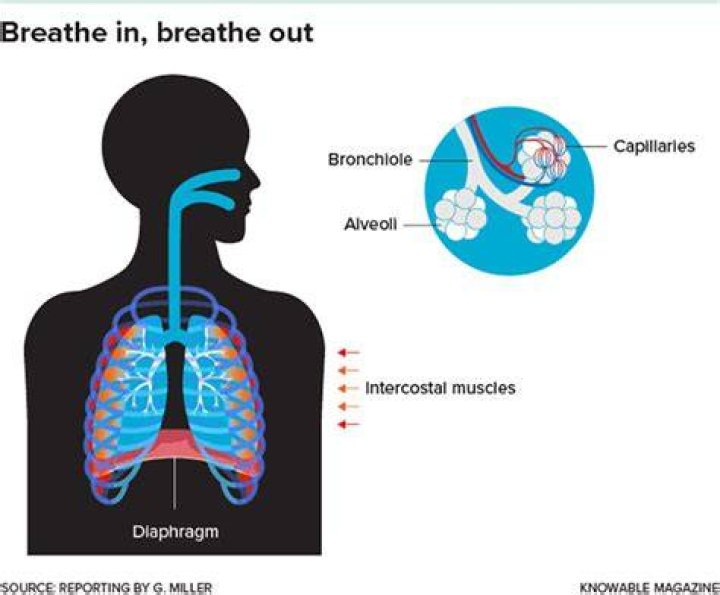 How do you breathe quietly?