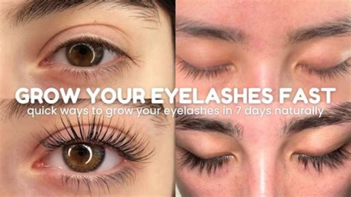 How do you grow big eyelashes fast?