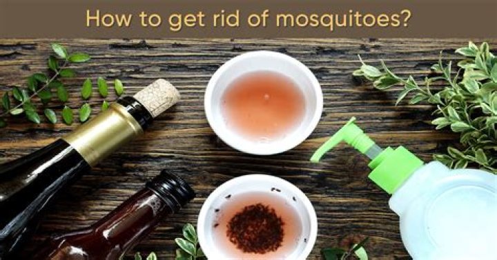 How do you use garlic to get rid of mosquitoes?
