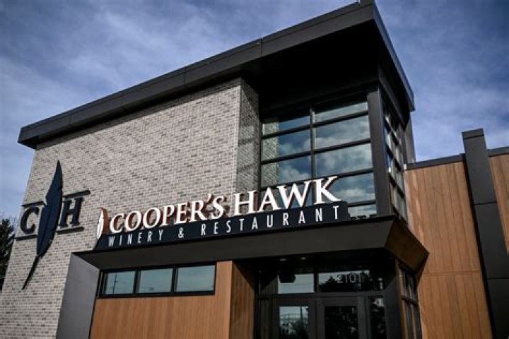 How fast is a Cooper's hawk?