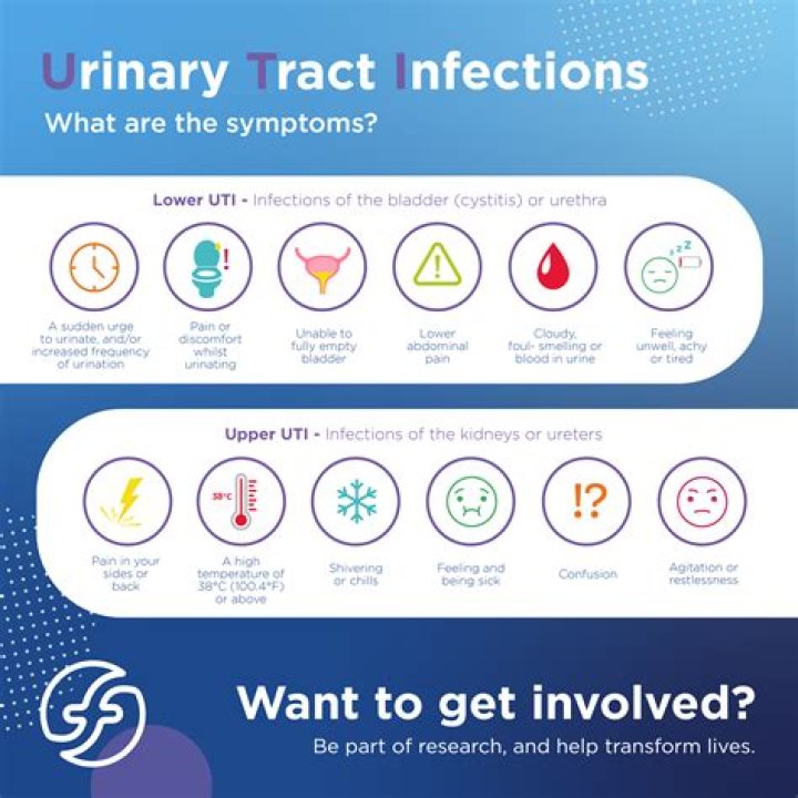 How long will my UTI last without antibiotics?