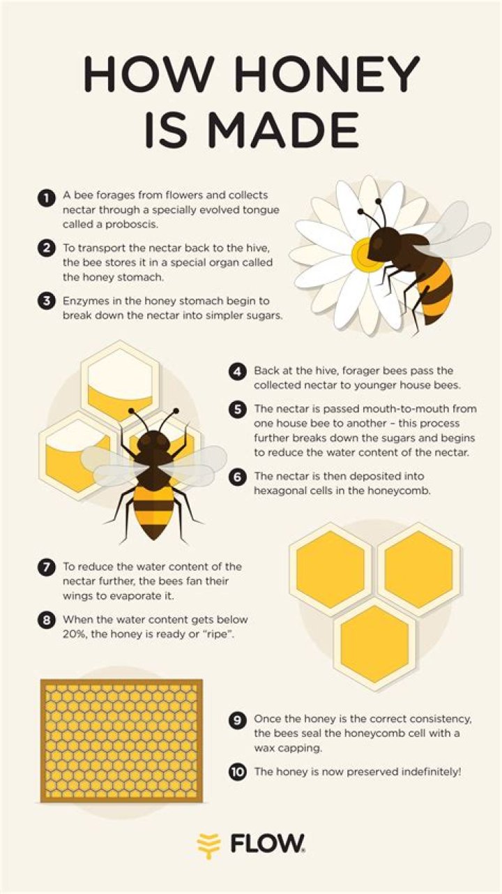 How much honey do I take for a cough?