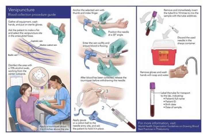 How often can you have a phlebotomy?