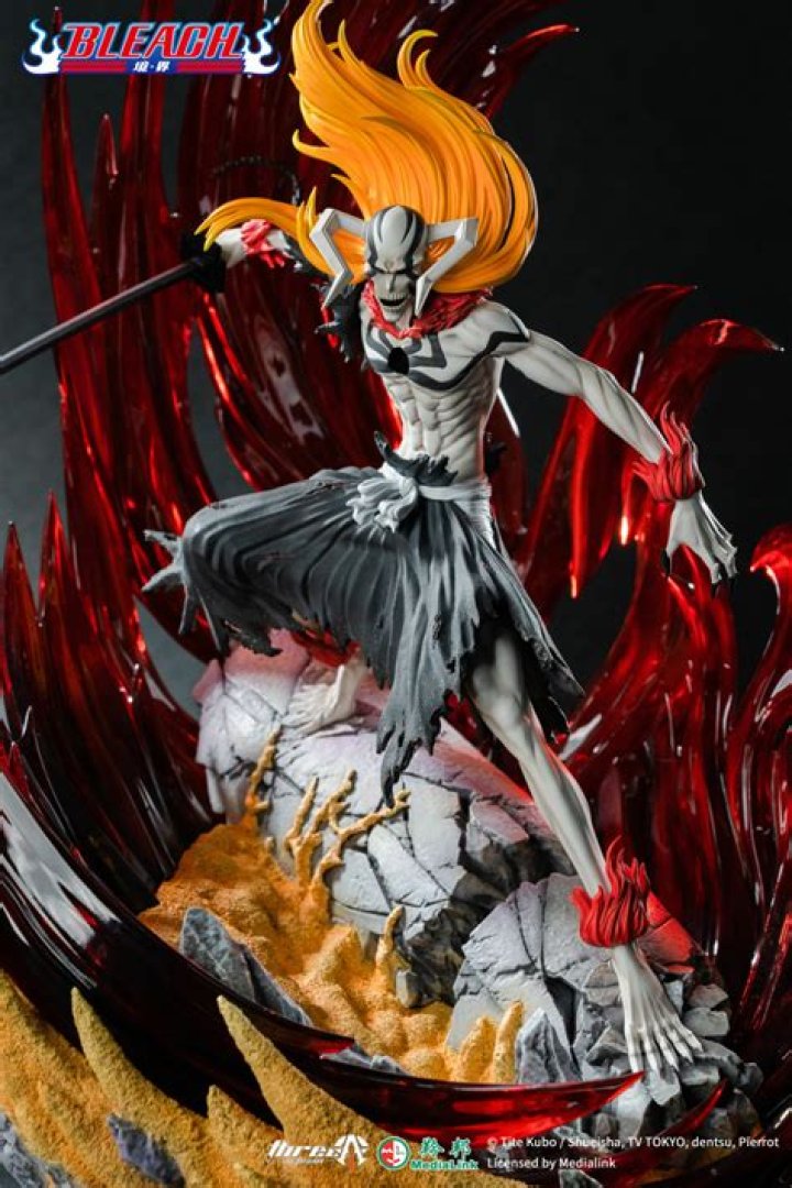 Is Ichigo's Hollow a Vasto Lorde?