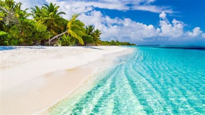 Is Puerto Rico or Bahamas better?