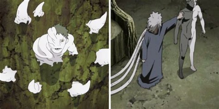 Is White Zetsu hashirama cells?