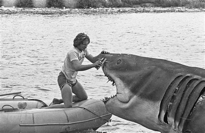 Was the shooting star in Jaws real?