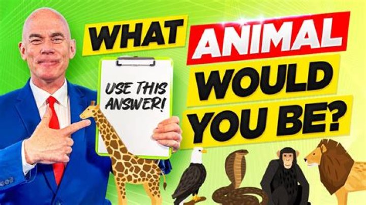 What animal stands alone?