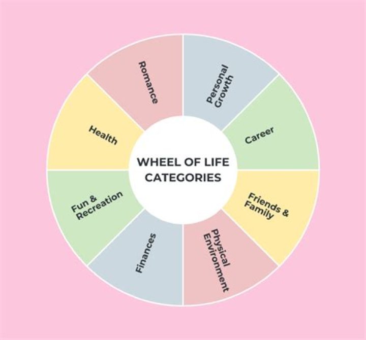 What are the categories of a project?