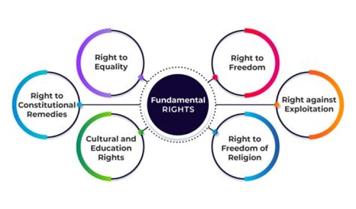What are the rights and powers of trustees?