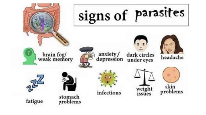 What are the symptoms of parasites?