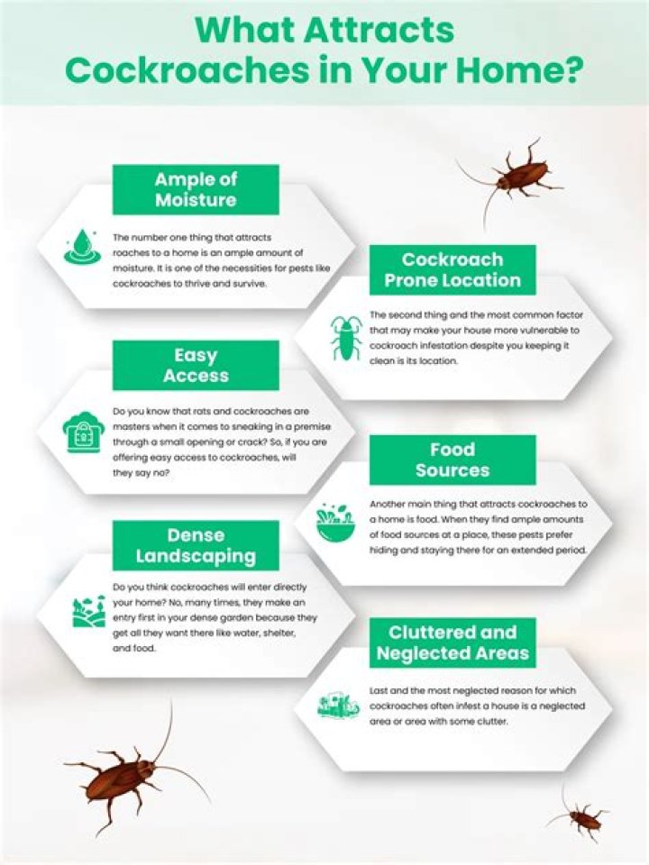 What attracts cockroaches in a house?