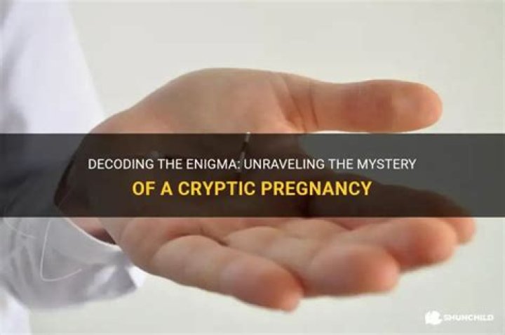 What does a cryptic pregnancy look like?