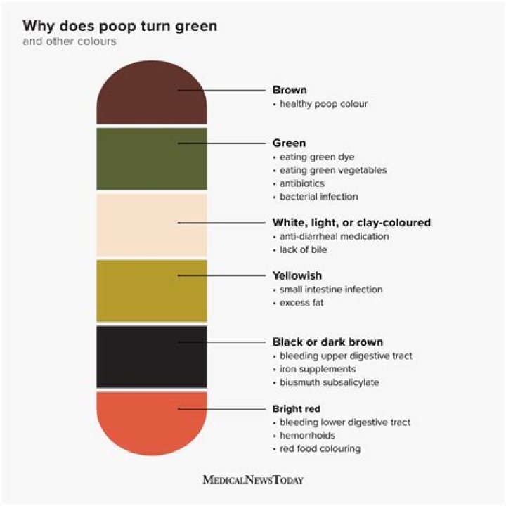 What does black green poop mean?