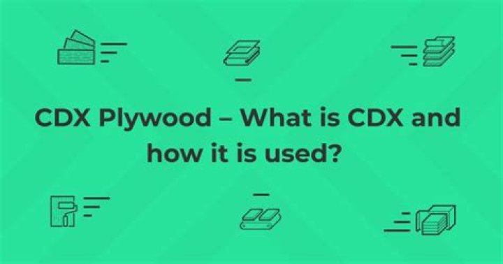 What does CDX mean on plywood?