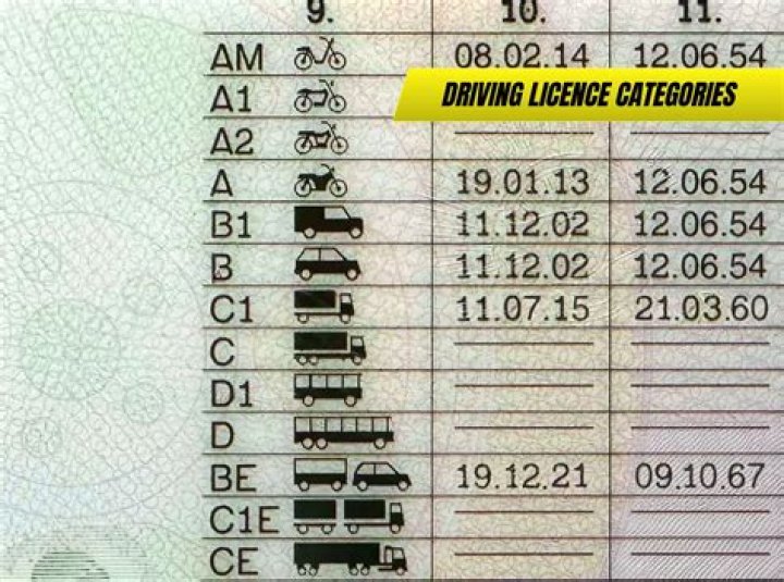 What does Q mean on driving Licence?