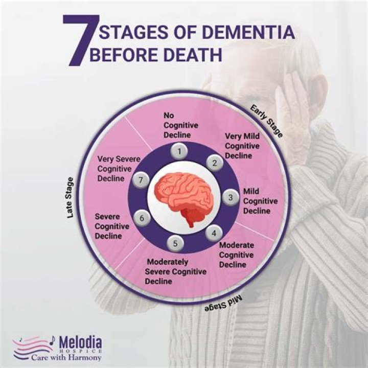 What happens at a dementia assessment?