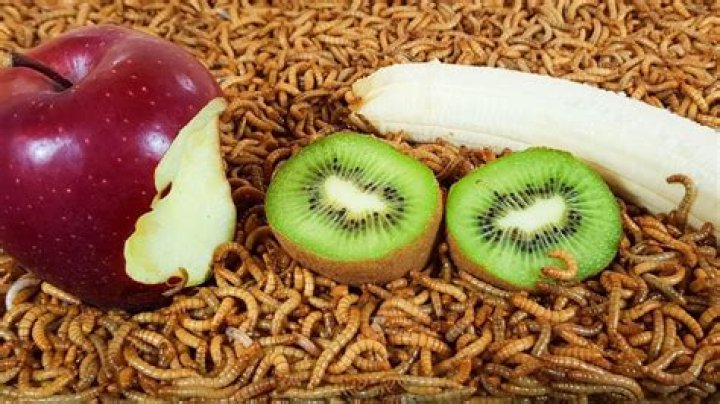 What happens if you accidentally eat a worm in fruit?
