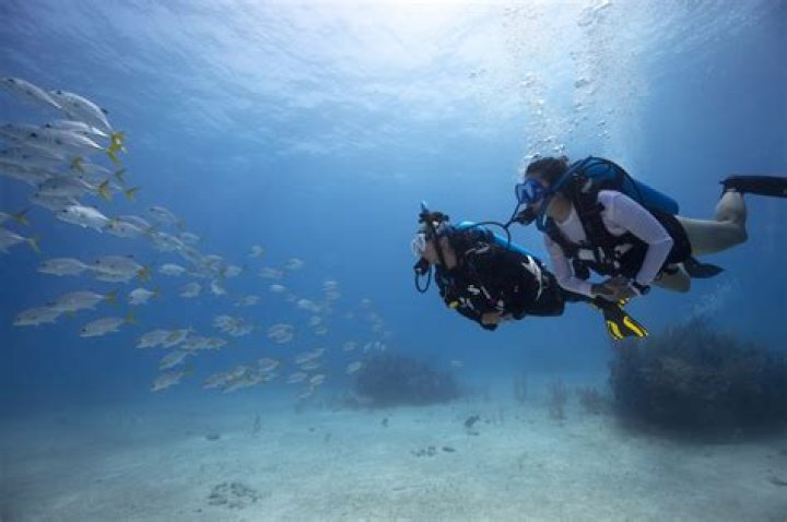 What is better scuba diving or snorkeling?