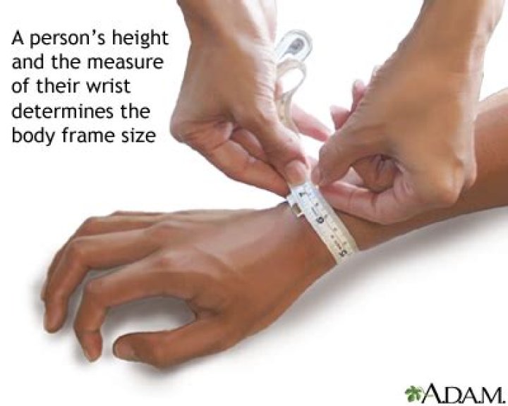 What is considered a small body frame?