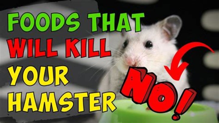 What is poisonous to hamsters?