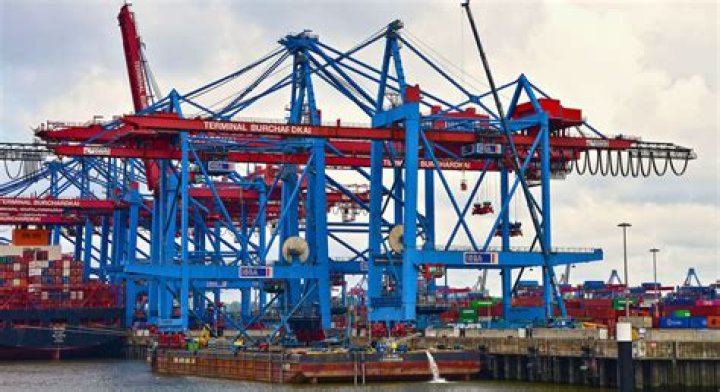 What is the best crane in the world?